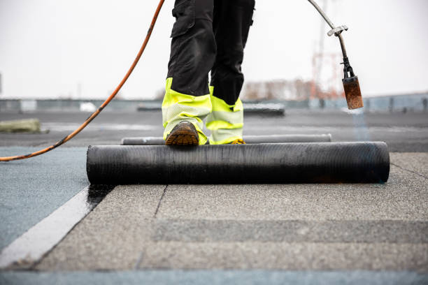 Best Storm Damage Roof Repair  in Clio, MI
